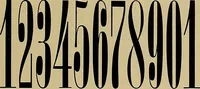 An illustration from Hauptprobe in gedrängter form der Bauerschen Giesserei, Frankfurt am Main: Filialen in Barcelona und Madrid, A. Numrich & Co. in Leipzig (1900)