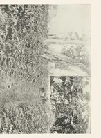 An illustration from The Hawaiian Islands, their resources, agricultural, commercial and financial. Coffee, the coming staple product (1896)