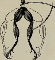 An illustration from Hawkins electrical guide ... : questions, answers & illustrations : a progressive course of study for engineers, electricians, students and those desiring to acquire a working knowledge of electricity and its applications ; a practical treatise (1914)