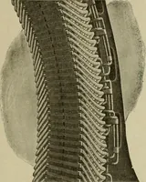 An illustration from Hawkins electrical guide. Questions, answers & illustrations; a progressive course of study for engineers, electricians, students and those desiring to acquire a working knowledge of electricity and its applications; a practical treatise (1914)