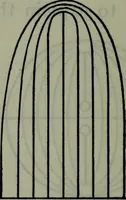 An illustration from Hawkins electrical guide ... : questions, answers & illustrations : a progressive course of study for engineers, electricians, students and those desiring to acquire a working knowledge of electricity and its applications ; a practical treatise (1914)
