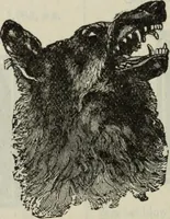 An illustration from Hawkins electrical guide ... : questions, answers & illustrations : a progressive course of study for engineers, electricians, students and those desiring to acquire a working knowledge of electricity and its applications ; a practical treatise (1914)