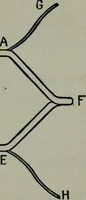 An illustration from Hawkins electrical guide ... : questions, answers & illustrations : a progressive course of study for engineers, electricians, students and those desiring to acquire a working knowledge of electricity and its applications ; a practical treatise (1914)