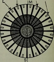 An illustration from Hawkins electrical guide ... : questions, answers & illustrations : a progressive course of study for engineers, electricians, students and those desiring to acquire a working knowledge of electricity and its applications ; a practical treatise (1914)