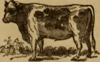Picture 6 of 20 from Health and character: with directions for their improvement (1879), leaf 20