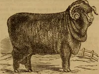 Picture 7 of 20 from Health and character: with directions for their improvement (1879), leaf 21