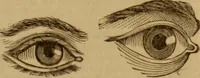 An illustration from Health and character: with directions for their improvement (1879)