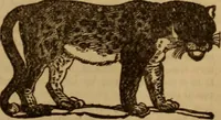An illustration from Health and character: with directions for their improvement (1879)