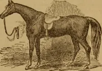 Picture 15 of 20 from Health and character: with directions for their improvement (1879), leaf 45