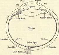 An illustration from Heat and light; an elementary text-book theoretical and practical for schools and colleges (1897)