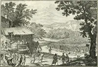 Picture 49 of 249 from Heilige Augen- und Gemüths-Lust : vorstellend, alle sonn- fest- und feyrtägliche nicht nur Evangelien, sondern auch Epistelen und Lectionen, jene historisch : diese auch emblemmatisch, und mit curieusen Einfassungen : in vielen Kupffer-Stücken von frembder und gantz neuer Invention : so wohl zur Kunst-Ubung als Unterhaltung Gottseeliger Betrachtungen, wie auch Vermehrung der Kupffer-Bibelen und Ausszierung aller christlichen Postillen dienlich (1706), leaf 58
