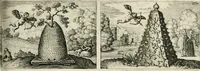 Picture 61 of 95 from Dan. Heinsii Nederduytsche poemata (1618), leaf 116