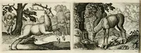 An illustration from Dan. Heinsii Nederduytsche poemata (1618)