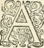 An illustration from Dan. Heinsii Nederduytsche poemata (1618)