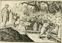 Picture 27 of 95 from Dan. Heinsii Nederduytsche poemata (1618), leaf 69