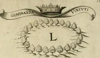 Picture 18 of 20 from Helicon Boemo-Hercynius : in quo nouem applausibus coronatur neo-rex Boemiae Leopoldvs (1656), leaf 40