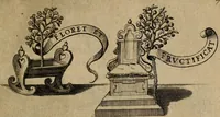 Picture 8 of 21 from Helicon Boemo-Hercynius, in quo nouem applausibus coronatur Neo-Rex Boemiæ Leopoldus (1656), leaf 20