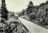 Picture 138 of 249 from Henderson's picturesque gardens and ornamental gardening illustrated (1908), leaf 100