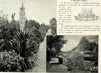 Picture 149 of 249 from Henderson's picturesque gardens and ornamental gardening illustrated (1908), leaf 107