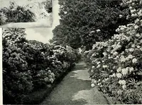 An illustration from Henderson's picturesque gardens and ornamental gardening illustrated (1908)