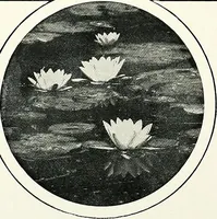 An illustration from Henderson's picturesque gardens and ornamental gardening illustrated (1908)