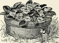 An illustration from Henderson's picturesque gardens and ornamental gardening illustrated (1908)