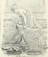 An illustration from Henderson's picturesque gardens and ornamental gardening illustrated (1908)