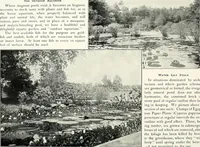 Picture 167 of 249 from Henderson's picturesque gardens and ornamental gardening illustrated (1908), leaf 117