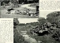 Picture 168 of 249 from Henderson's picturesque gardens and ornamental gardening illustrated (1908), leaf 118