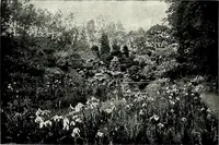 An illustration from Henderson's picturesque gardens and ornamental gardening illustrated (1908)