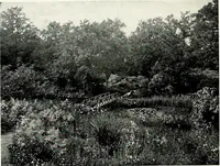 An illustration from Henderson's picturesque gardens and ornamental gardening illustrated (1908)