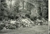An illustration from Henderson's picturesque gardens and ornamental gardening illustrated (1908)
