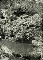 An illustration from Henderson's picturesque gardens and ornamental gardening illustrated (1908)