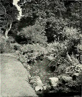Picture 184 of 249 from Henderson's picturesque gardens and ornamental gardening illustrated (1908), leaf 131