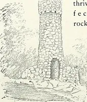An illustration from Henderson's picturesque gardens and ornamental gardening illustrated (1908)