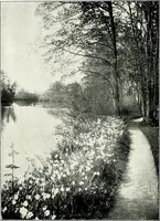 An illustration from Henderson's picturesque gardens and ornamental gardening illustrated (1908)