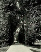 An illustration from Henderson's picturesque gardens and ornamental gardening illustrated (1908)