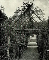 An illustration from Henderson's picturesque gardens and ornamental gardening illustrated (1908)