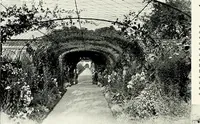 An illustration from Henderson's picturesque gardens and ornamental gardening illustrated (1908)
