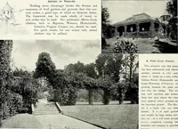 Picture 207 of 249 from Henderson's picturesque gardens and ornamental gardening illustrated (1908), leaf 147