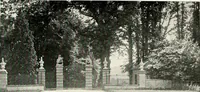 An illustration from Henderson's picturesque gardens and ornamental gardening illustrated (1908)