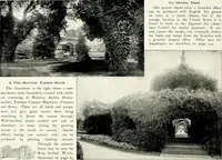 Picture 211 of 249 from Henderson's picturesque gardens and ornamental gardening illustrated (1908), leaf 150