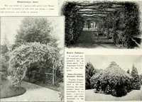An illustration from Henderson's picturesque gardens and ornamental gardening illustrated (1908)