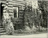 Picture 216 of 249 from Henderson's picturesque gardens and ornamental gardening illustrated (1908), leaf 153