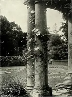 An illustration from Henderson's picturesque gardens and ornamental gardening illustrated (1908)