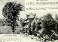Picture 221 of 249 from Henderson's picturesque gardens and ornamental gardening illustrated (1908), leaf 156