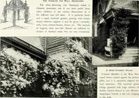 Picture 223 of 249 from Henderson's picturesque gardens and ornamental gardening illustrated (1908), leaf 157
