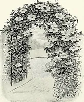 An illustration from Henderson's picturesque gardens and ornamental gardening illustrated (1908)