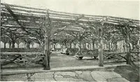 An illustration from Henderson's picturesque gardens and ornamental gardening illustrated (1908)