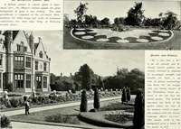 Picture 16 of 249 from Henderson's picturesque gardens and ornamental gardening illustrated (1908), leaf 19